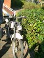 20e oldtimer brommer-motor-fietsbeurs Wachtebeke