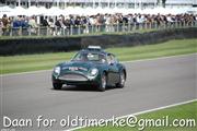 Goodwood Revival  by Daan