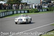 Goodwood Revival  by Daan