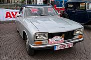 Waasland Oldtimerrit  by Elke