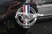 12h Cruising Franco-Belge  / 50 years Ford Mustang Moeskroen