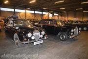 Preview Flanders Collection Cars