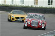 73rd Goodwood Members Meeting