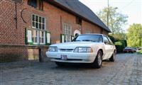 Herentalse oldtimer rondrit