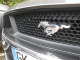 Mustang Fever Heusden-Zolder