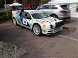 Rallyedemo de Vosges La Bresse (Frankrijjk)