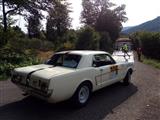 Rallyedemo de Vosges La Bresse (Frankrijjk)