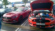 Mustang Desire, old meets new