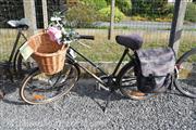 Folklore Retro fietsrit Zottegem