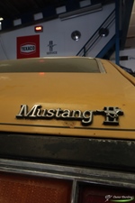 Mustang Fever - Heusden-Zolder
