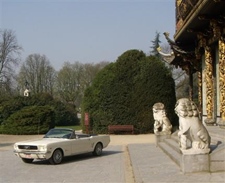 Oldtimer te huur: Ford Mustang
