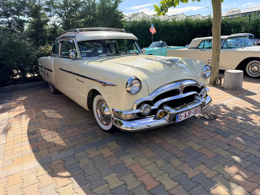 Mid-Century Car Club - Rondrit van Vlaanderen