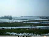 Daf Winterrally, 28 & 29 februari 2004 -  9 maart 2004