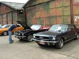 Jubileummeeting van de Belgische mustang & Cougar club