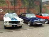 Jubileummeeting van de Belgische mustang & Cougar club