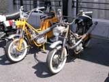 1e Flandria rondrit te Zwevezele -  8 juli 2007