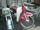 1e Flandria rondrit te Zwevezele -  8 juli 2007