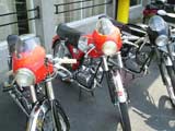1e Flandria rondrit te Zwevezele -  8 juli 2007