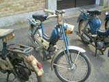1e Flandria rondrit te Zwevezele -  8 juli 2007