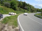 Mille Miglia 2010