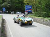 Mille Miglia 2010