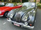 De Elite Reklaam Oldtimer Rally 