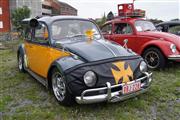 Oldtimertreffen van de Binocle Club