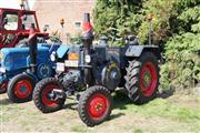 Halfoogstrit St-Truiden -  15 augustus 2011