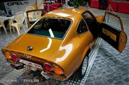 Antwerp Classic Salon 2012 - photography by PPress -  4 maart 2012