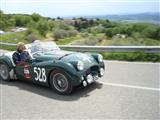 Mille Miglia 2012