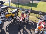 Honda Classic Bikes meeting Veurne - foto 17 van 44