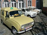 Renault 4 in Redu