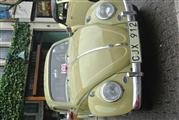 VW meeting Ninove -  10 maart 2013