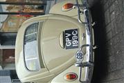 VW meeting Ninove -  10 maart 2013