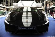 Lamborghini: 50 Years under the sign of the Bull - Autoworld - foto 12 van 44