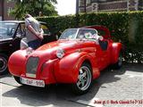 8ste Classic Car Rally Teutenroute - Herk de Stad 