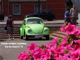 8ste Classic Car Rally Teutenroute - Herk de Stad 