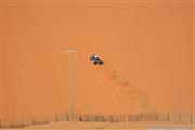 LIWA Moreeb Dune Abu Dhabi - foto 13 van 59