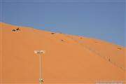 LIWA Moreeb Dune Abu Dhabi - foto 15 van 59
