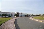 Sharjah Classic Cars Museum - UAE -  10 januari 2014