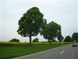 Tour des Ardennes