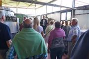 Oud Opel treffen Oudenburg -  29 juni 2014