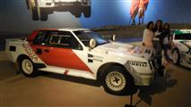 Internationale Toyota Meeting -  28 juni 2014