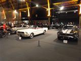 50 years Mustang - foto 12 van 16