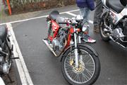 Cars & Coffee Noord Antwerpen -  25 januari 2015