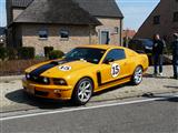 Mustang Fever 2015 (Heusden-Zolder) - foto 45 van 56