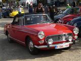 't Visplatinéeke in Zelem - Halen -  17 mei 2015
