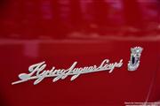 80 Years Jaguar @ Autoworld - foto 32 van 225