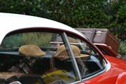 De Zaat Raast - Festival of Sportscars, Temse -  15 augustus 2015