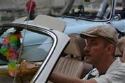 De Zaat Raast - Festival of Sportscars, Temse -  15 augustus 2015
